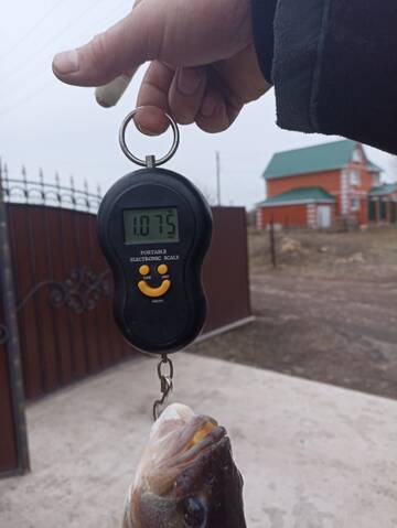 https://forumstatic.ru//uploads/0017/28/55/2776/t305671.jpg