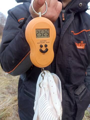 https://forumstatic.ru//uploads/0017/28/55/2776/t606994.jpg