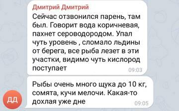 https://forumstatic.ru//uploads/0017/28/55/305/t815989.jpg