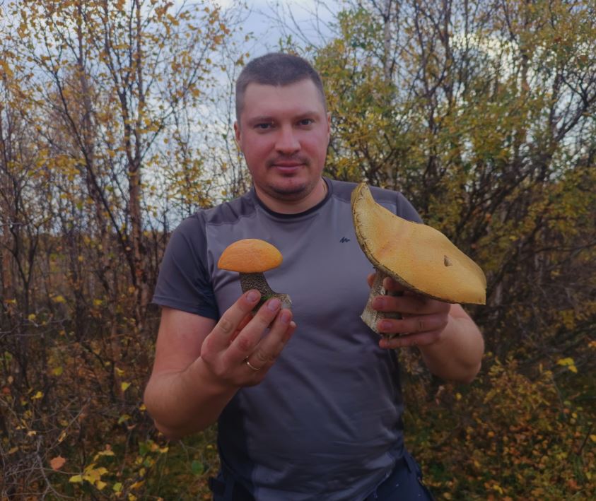 https://forumstatic.ru//uploads/0017/28/55/382/829849.jpg