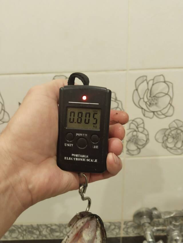 https://forumstatic.ru//uploads/0017/28/55/40/326523.jpg