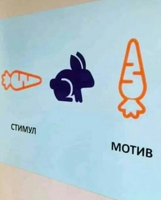 https://forumstatic.ru//uploads/0017/28/55/40/454446.jpg