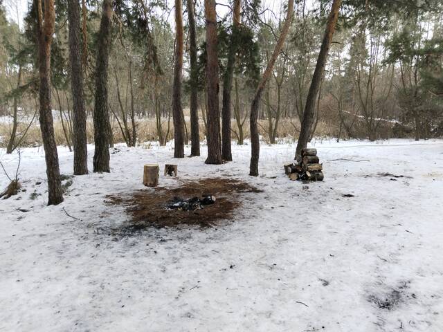 https://forumstatic.ru//uploads/0017/28/55/40/764930.jpg
