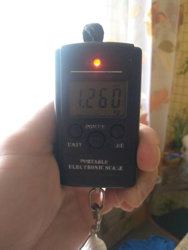 https://forumstatic.ru//uploads/0017/28/55/40/956109.jpg
