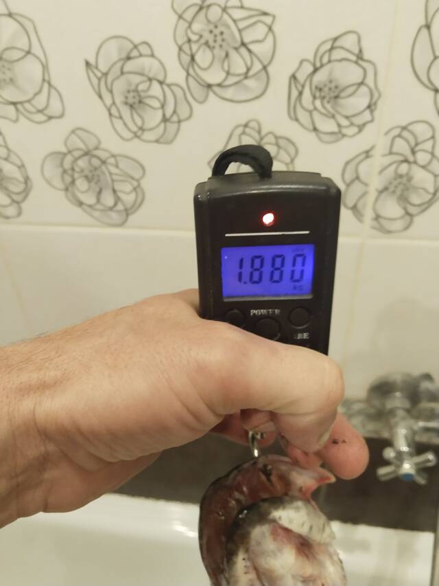 https://forumstatic.ru//uploads/0017/28/55/40/957520.jpg