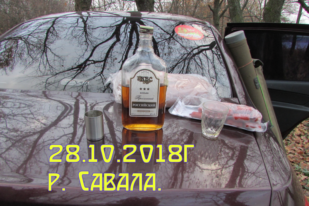 https://forumstatic.ru//uploads/0017/28/55/5/467528.png