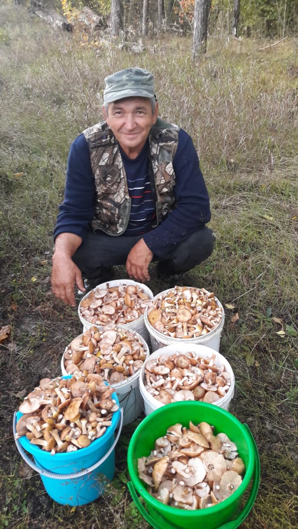 https://forumstatic.ru//uploads/0017/28/55/58/239461.jpg