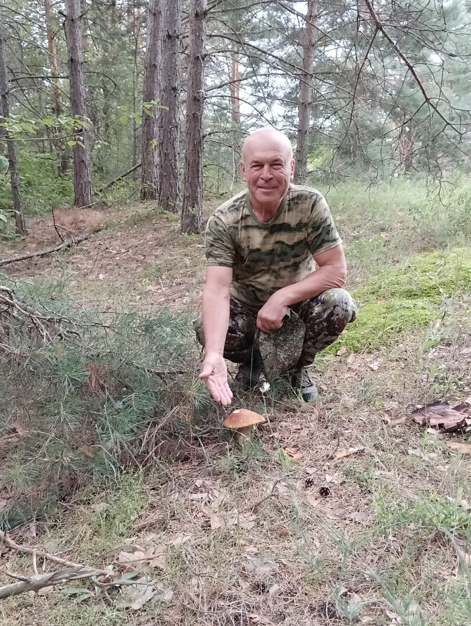 https://forumstatic.ru//uploads/0017/28/55/58/486557.jpg