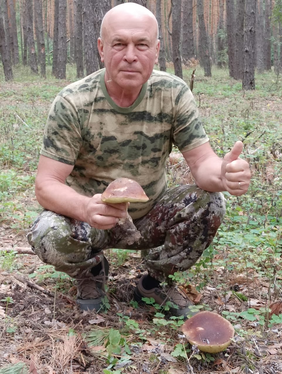 https://forumstatic.ru//uploads/0017/28/55/58/746464.jpg