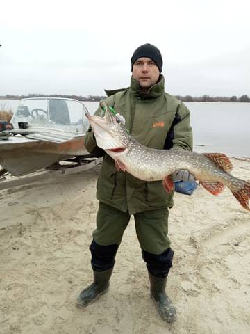 https://forumstatic.ru//uploads/0017/28/55/58/t200506.jpg