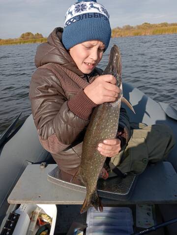 https://forumstatic.ru//uploads/0017/28/55/58/t351289.jpg