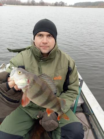https://forumstatic.ru//uploads/0017/28/55/58/t381503.jpg