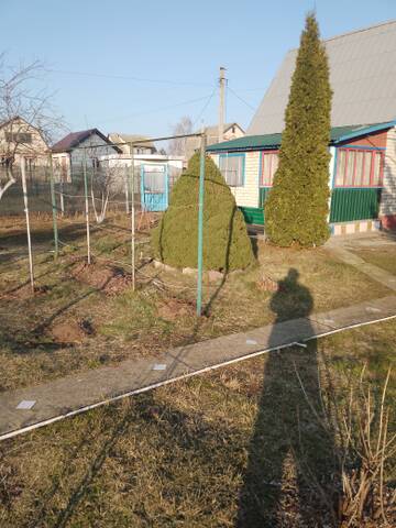 https://forumstatic.ru//uploads/0017/28/55/6/t366297.jpg