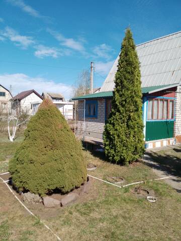 https://forumstatic.ru//uploads/0017/28/55/6/t44991.jpg