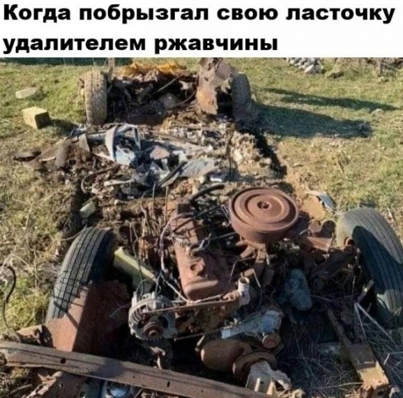 https://forumstatic.ru//uploads/0017/28/55/668/704891.jpg