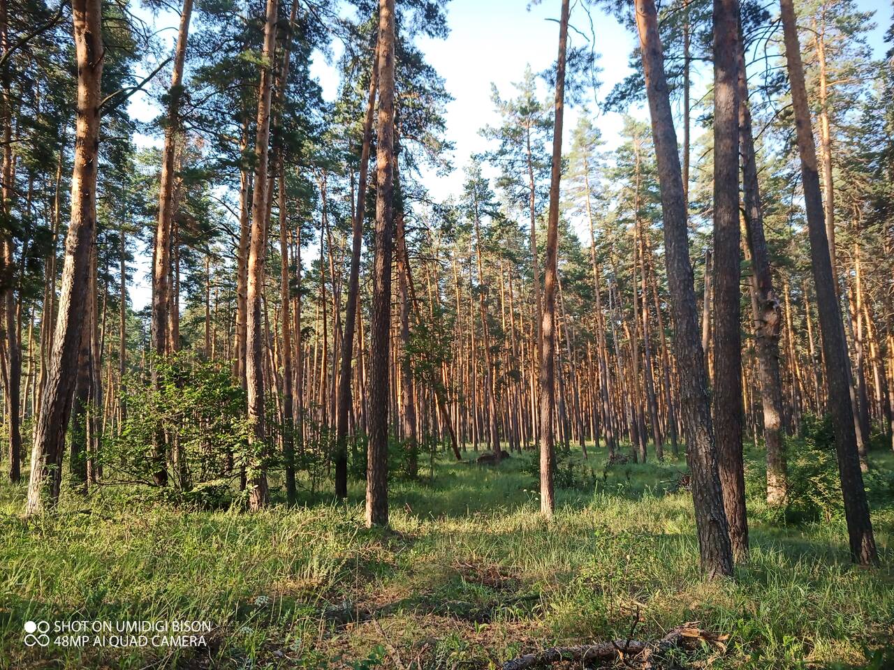 https://forumstatic.ru//uploads/0017/28/55/7/157143.jpg