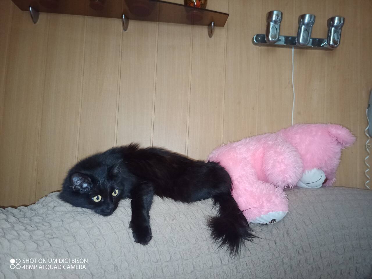 https://forumstatic.ru//uploads/0017/28/55/7/388348.jpg