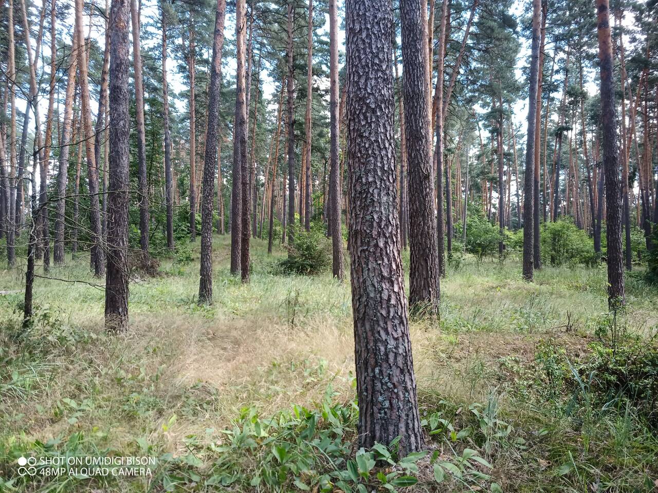 https://forumstatic.ru//uploads/0017/28/55/7/629778.jpg