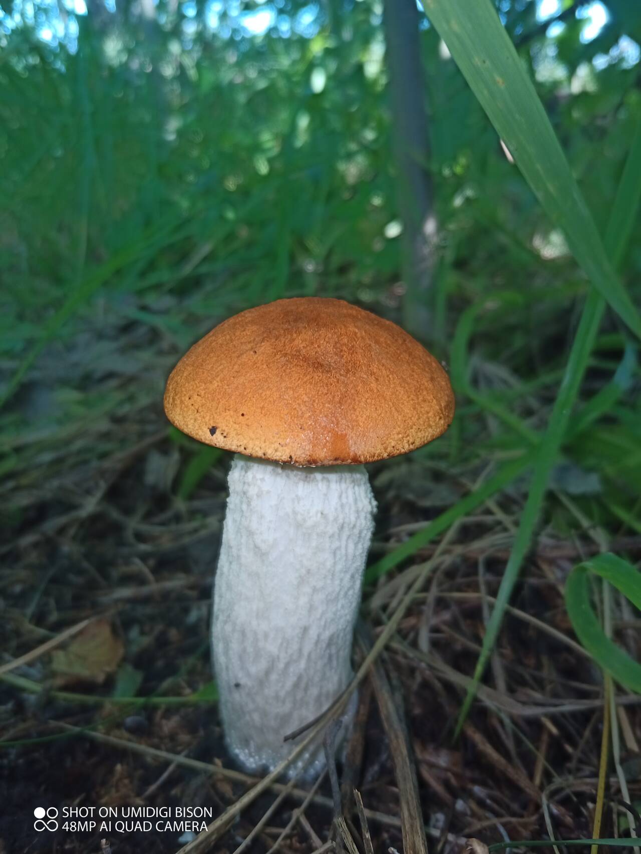 https://forumstatic.ru//uploads/0017/28/55/7/672025.jpg