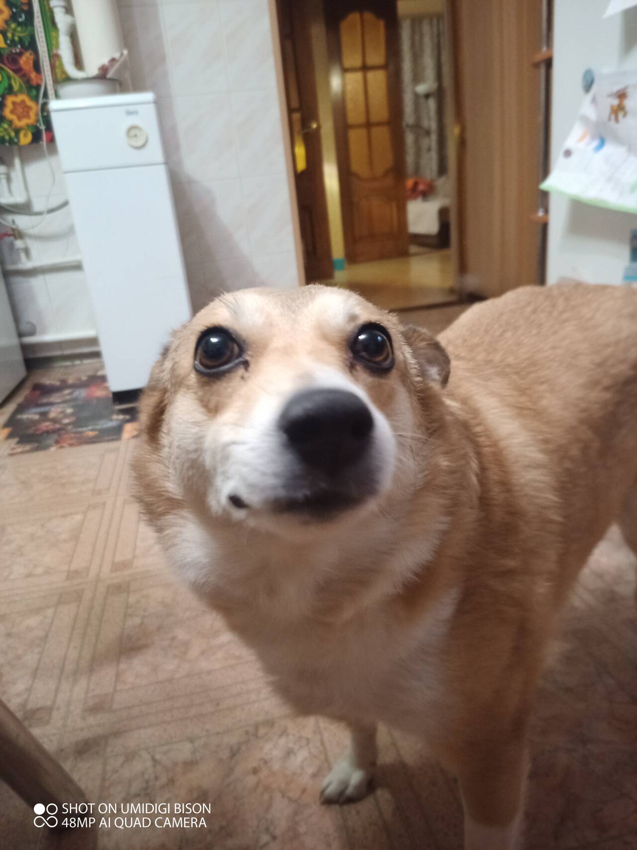 https://forumstatic.ru//uploads/0017/28/55/7/998634.jpg