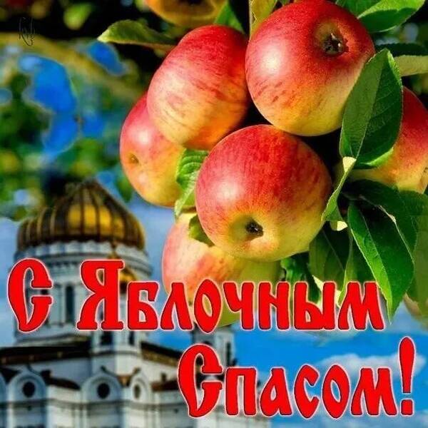 https://forumstatic.ru//uploads/0017/28/55/7/t453691.jpg