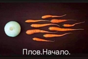 https://forumstatic.ru//uploads/0017/28/55/73/t124658.jpg
