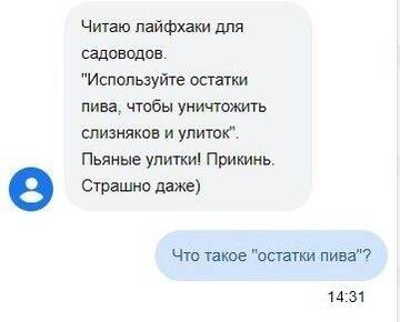 https://forumstatic.ru//uploads/0017/28/55/73/t169512.jpg
