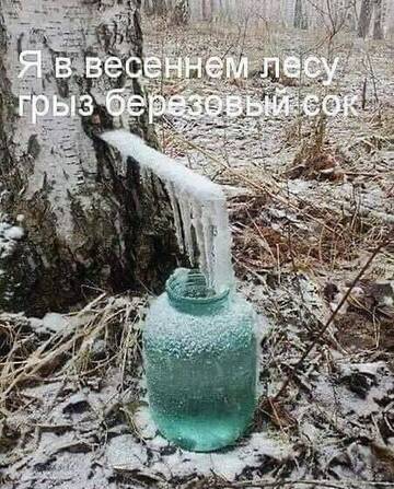 https://forumstatic.ru//uploads/0017/28/55/73/t194728.jpg