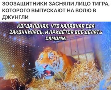 https://forumstatic.ru//uploads/0017/28/55/73/t230335.jpg