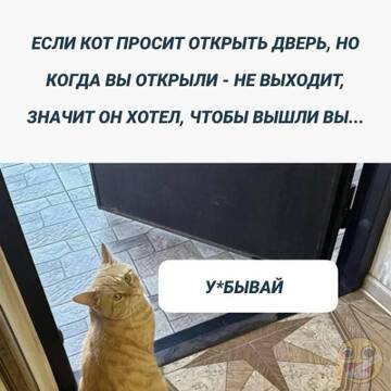 https://forumstatic.ru//uploads/0017/28/55/73/t486652.jpg