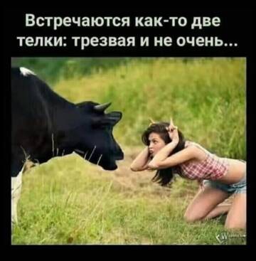 https://forumstatic.ru//uploads/0017/28/55/73/t552164.jpg