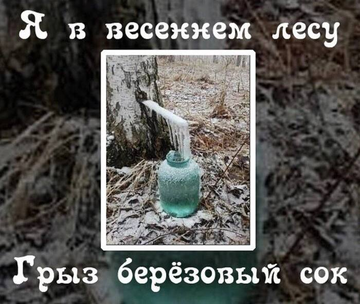 https://forumstatic.ru//uploads/0017/28/55/73/t789083.png