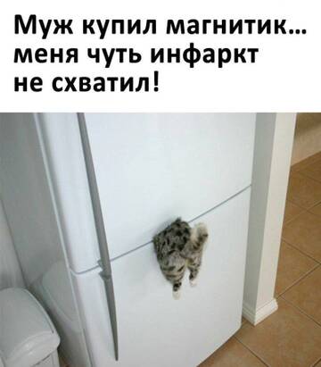 https://forumstatic.ru//uploads/0017/28/55/73/t864948.jpg