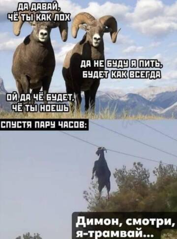 https://forumstatic.ru//uploads/0017/28/55/73/t920387.jpg
