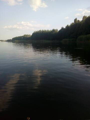https://forumstatic.ru//uploads/0017/28/55/76/t954163.jpg