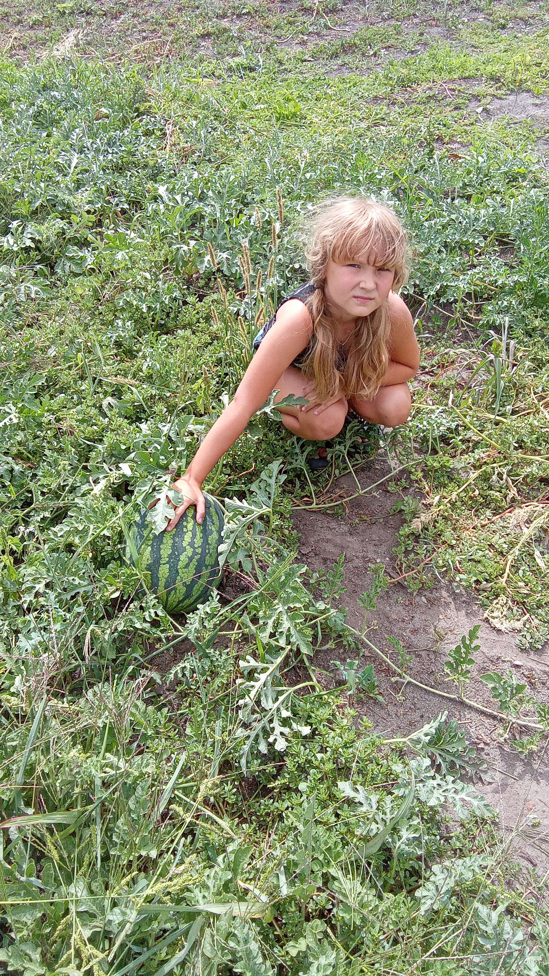 https://forumstatic.ru//uploads/0017/28/55/8/578873.jpg