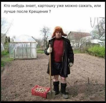https://forumstatic.ru//uploads/0017/28/55/846/t256181.jpg