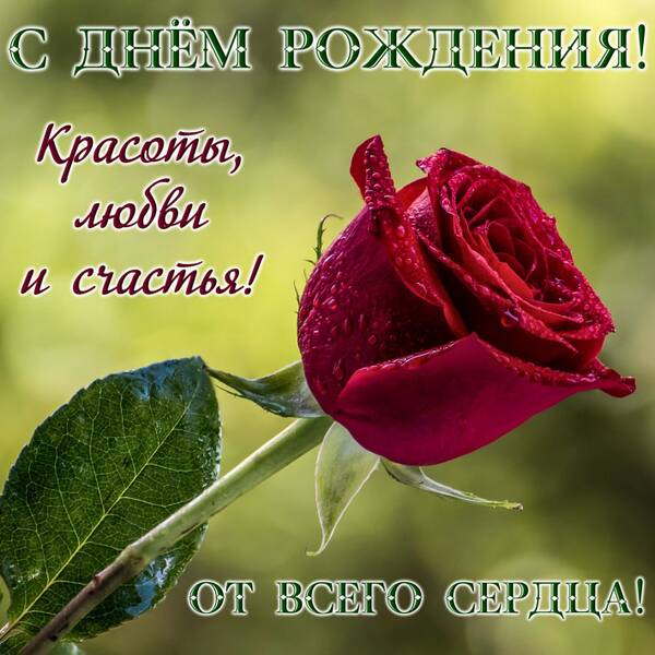 https://forumstatic.ru//uploads/0017/28/55/936/t242379.jpg