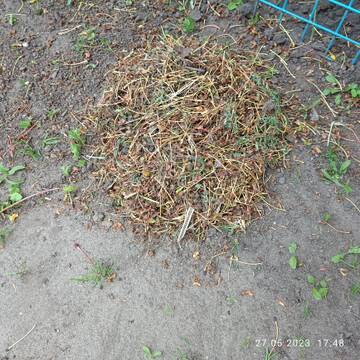 https://forumstatic.ru//uploads/0017/28/55/96/t266195.jpg