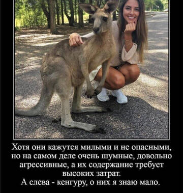 https://forumstatic.ru//uploads/0017/28/55/96/t388509.jpg