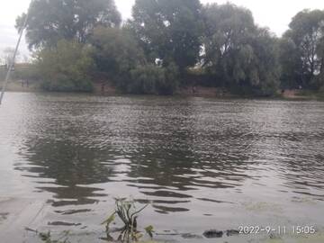 https://forumstatic.ru//uploads/0017/28/55/96/t551339.jpg