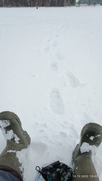 https://forumstatic.ru//uploads/0017/28/55/96/t610960.jpg