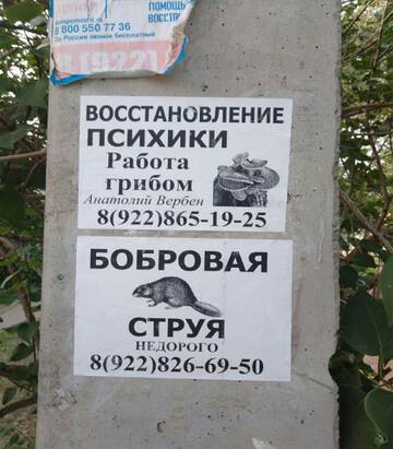 https://forumstatic.ru//uploads/0019/3a/78/14/t123403.jpg