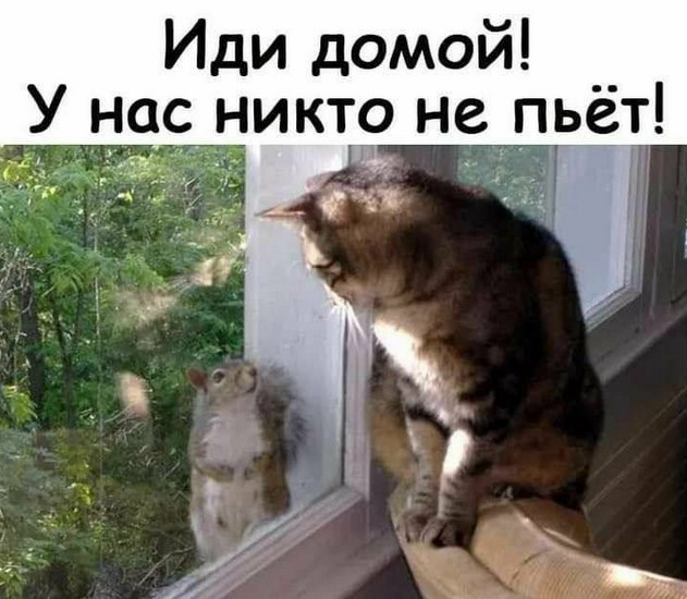 https://forumstatic.ru//uploads/0019/3a/78/16/345192.jpg