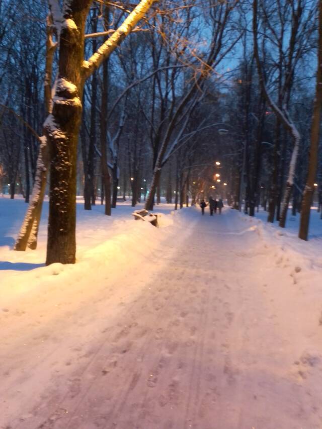 https://forumstatic.ru//uploads/0019/3a/78/16/44304.jpg