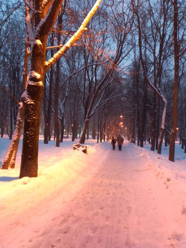 https://forumstatic.ru//uploads/0019/3a/78/16/530566.jpg