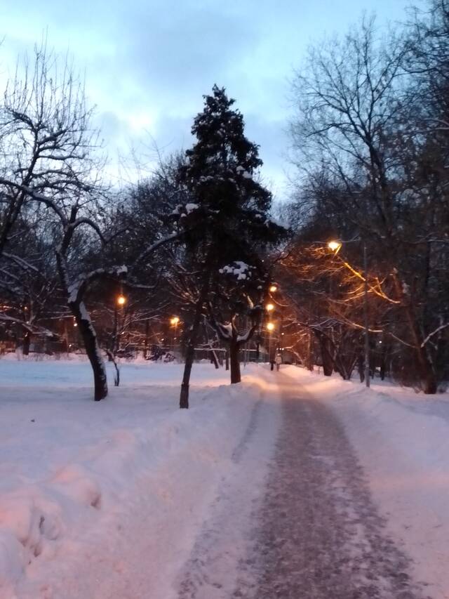 https://forumstatic.ru//uploads/0019/3a/78/16/642704.jpg