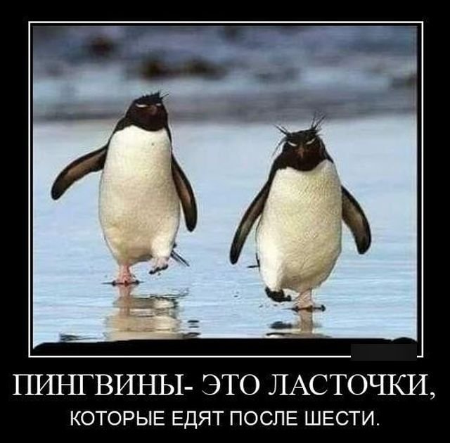 https://forumstatic.ru//uploads/0019/3a/78/16/701048.jpg