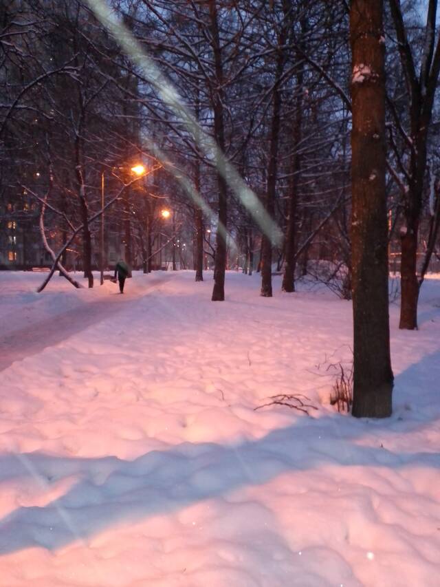 https://forumstatic.ru//uploads/0019/3a/78/16/765521.jpg