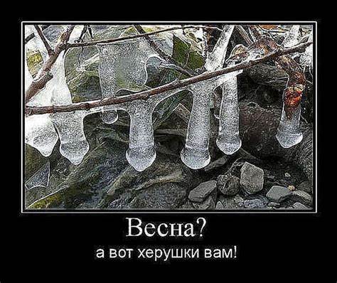 https://forumstatic.ru//uploads/0019/3a/78/16/861652.jpg